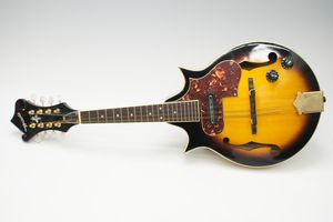 マンドリンのYahoo!オークション(旧ヤフオク!)の相場・価格を見る