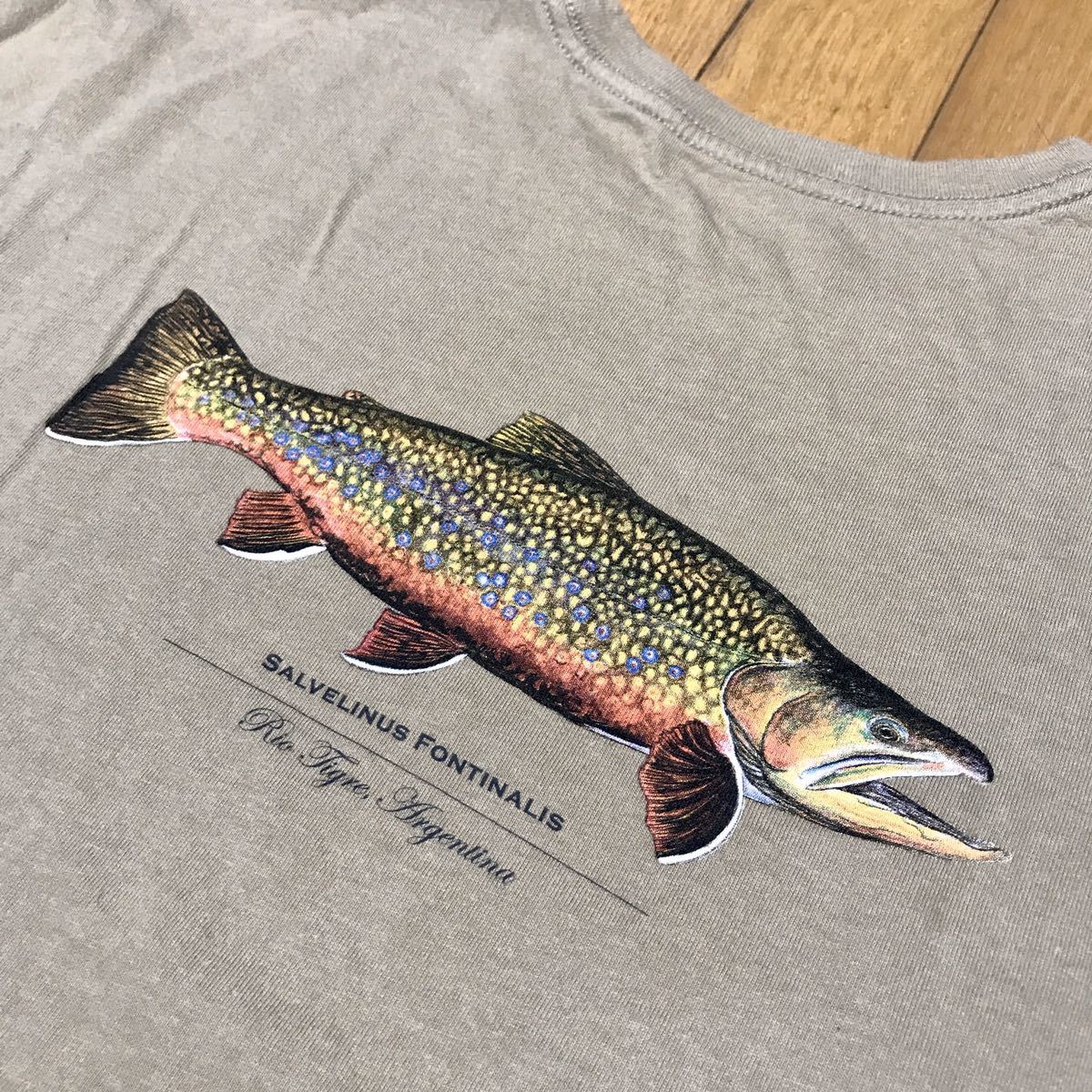 新作，2026 ビンテージ パタゴニア ワールトトラウト Tシャツ 釣り フライフィッシング 渓流釣り トラウト(半袖Tシャツ)｜売買されたオークション情報、yahooの商品情報をアーカイブ公開 - オークファン 男性用