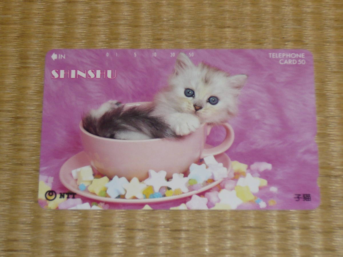 高級品 未使用 テレホンカード テレカ 猫 写真 50度 ポイント消化 テレフォンカード 子猫 Paroissesaintmaximin Fr