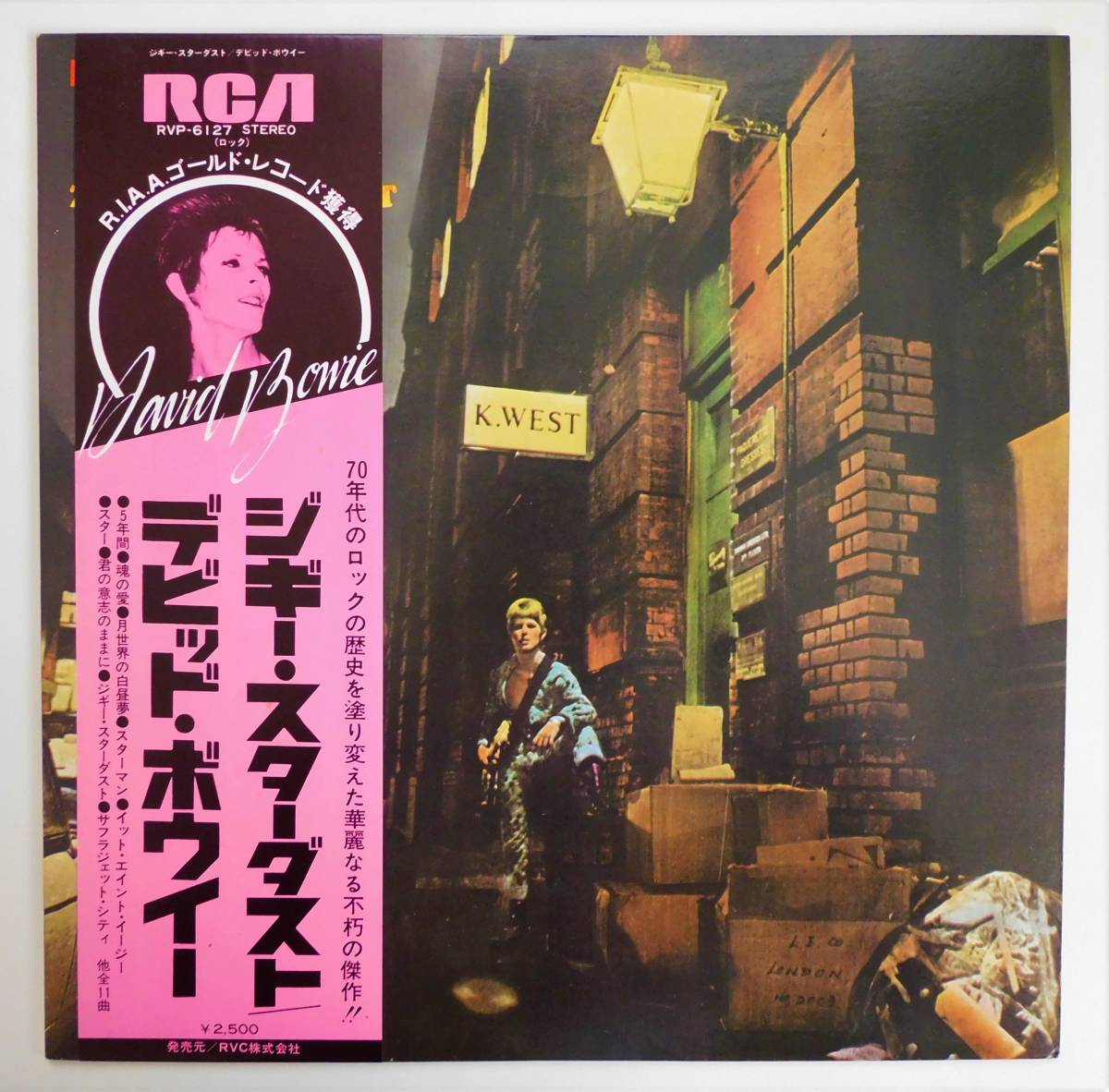 デヴィッド・ボウイ ⁄ David Bowie ジギー・スターダスト - DAVID 