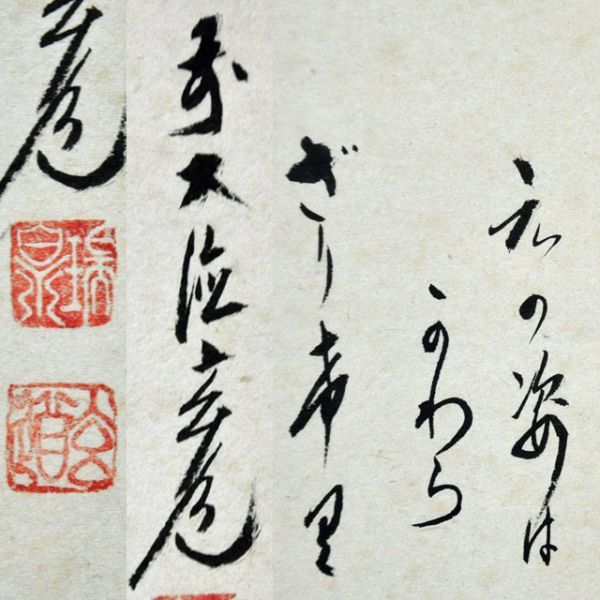 3977 須賀玄道「南無阿弥陀佛」 共箱 肉筆 紙本 書 掛軸 臨済宗 大徳寺 2626 須賀玄道 大徳寺派 大分瑞泉寺 不二画賛 箱無 掛軸 紙本 【公式通販】