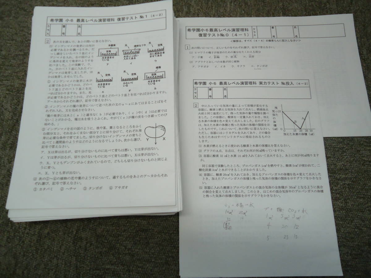 希学園小6 最高レベル演習 理科 復習テスト【1年分】 希学園生の成績