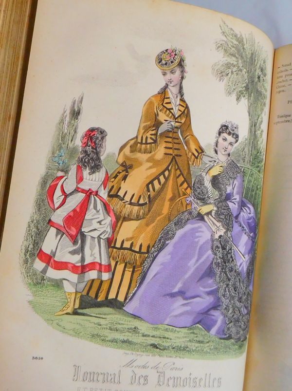 秋の足音。山採りコマユミ。 山取 コマユミ コマユミ - 植物図鑑