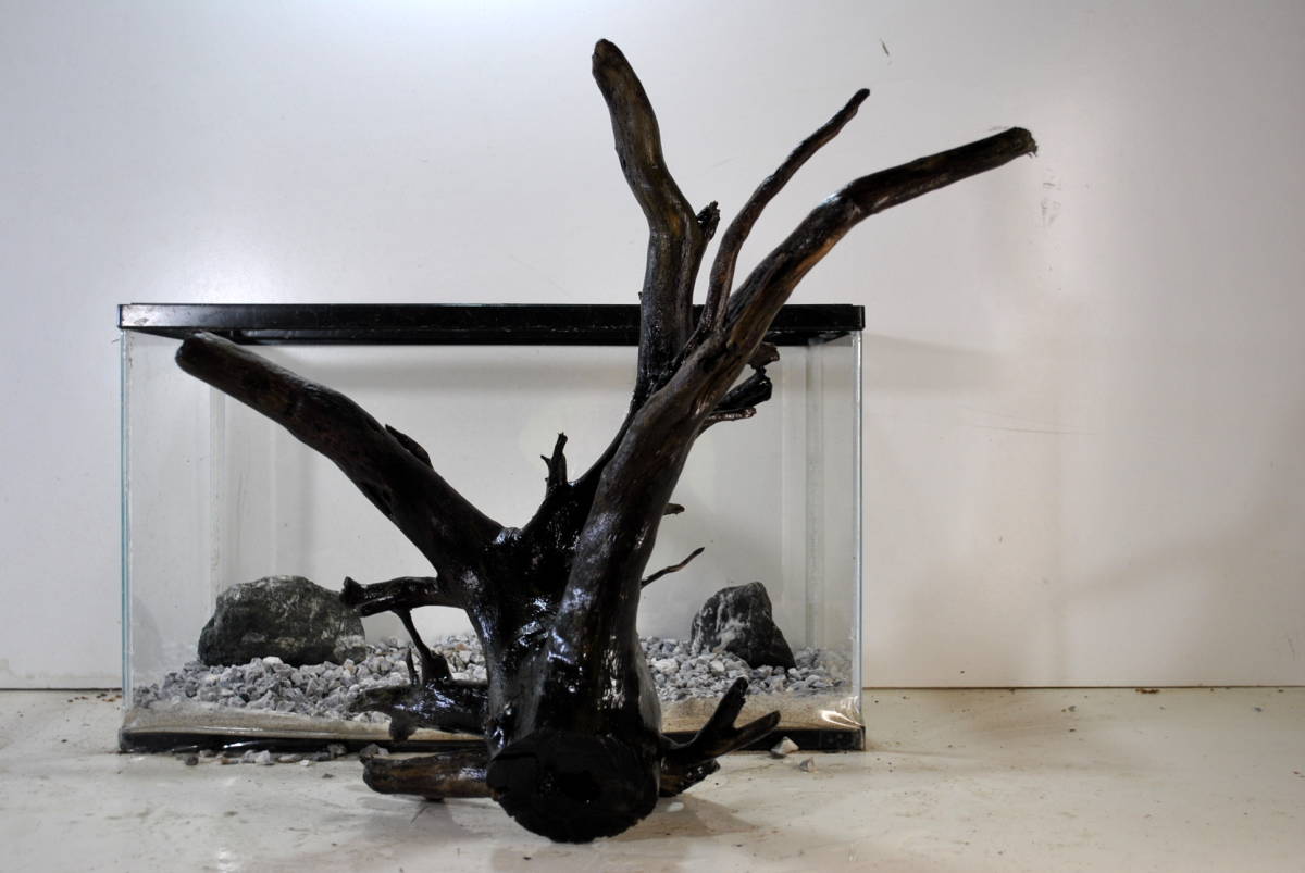 り*う様 特大　流木　アクアリウム 大型流木 画像追加 沈水流木 60cm水槽 90cm 大型水槽追加にアクア根流木