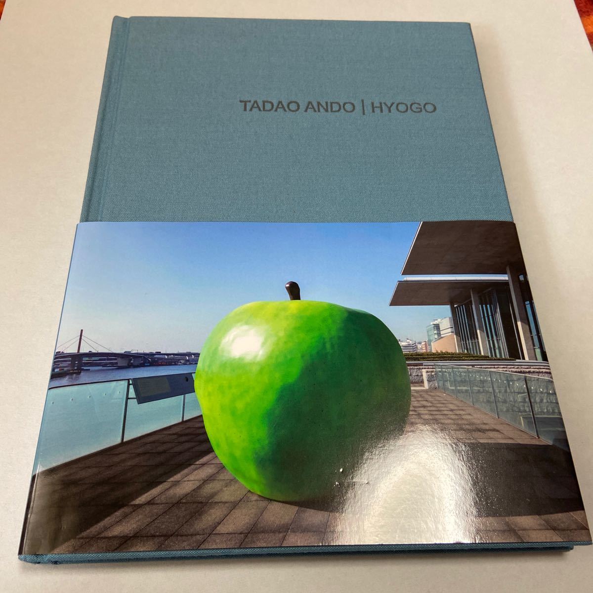 安藤忠雄 サイン本 ドローイング 作品集 TADAO ANDO HYOGO 青いりんご