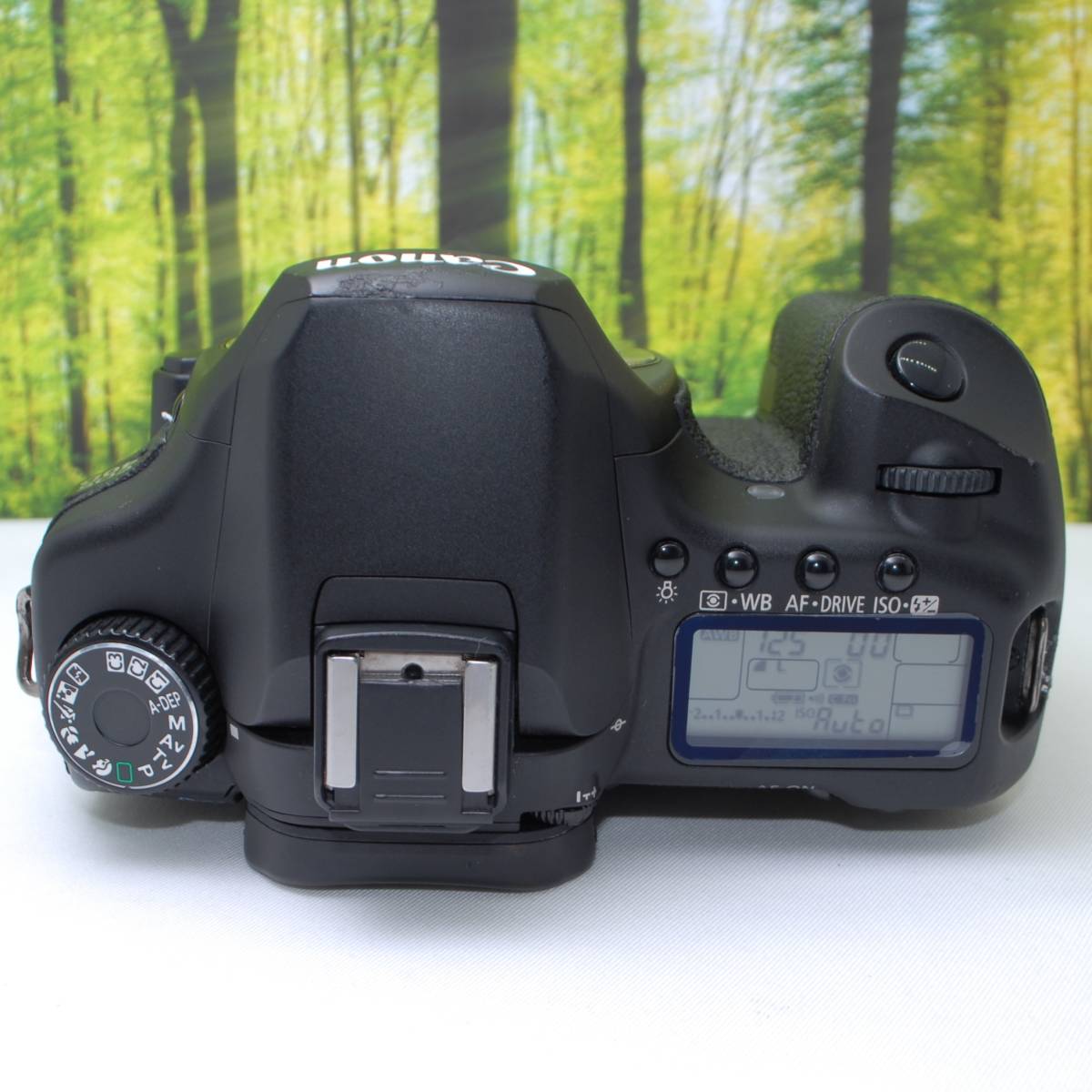 届いたらすぐ使えるCFカード&カメラバッグセット】Canon キャノン EOS 