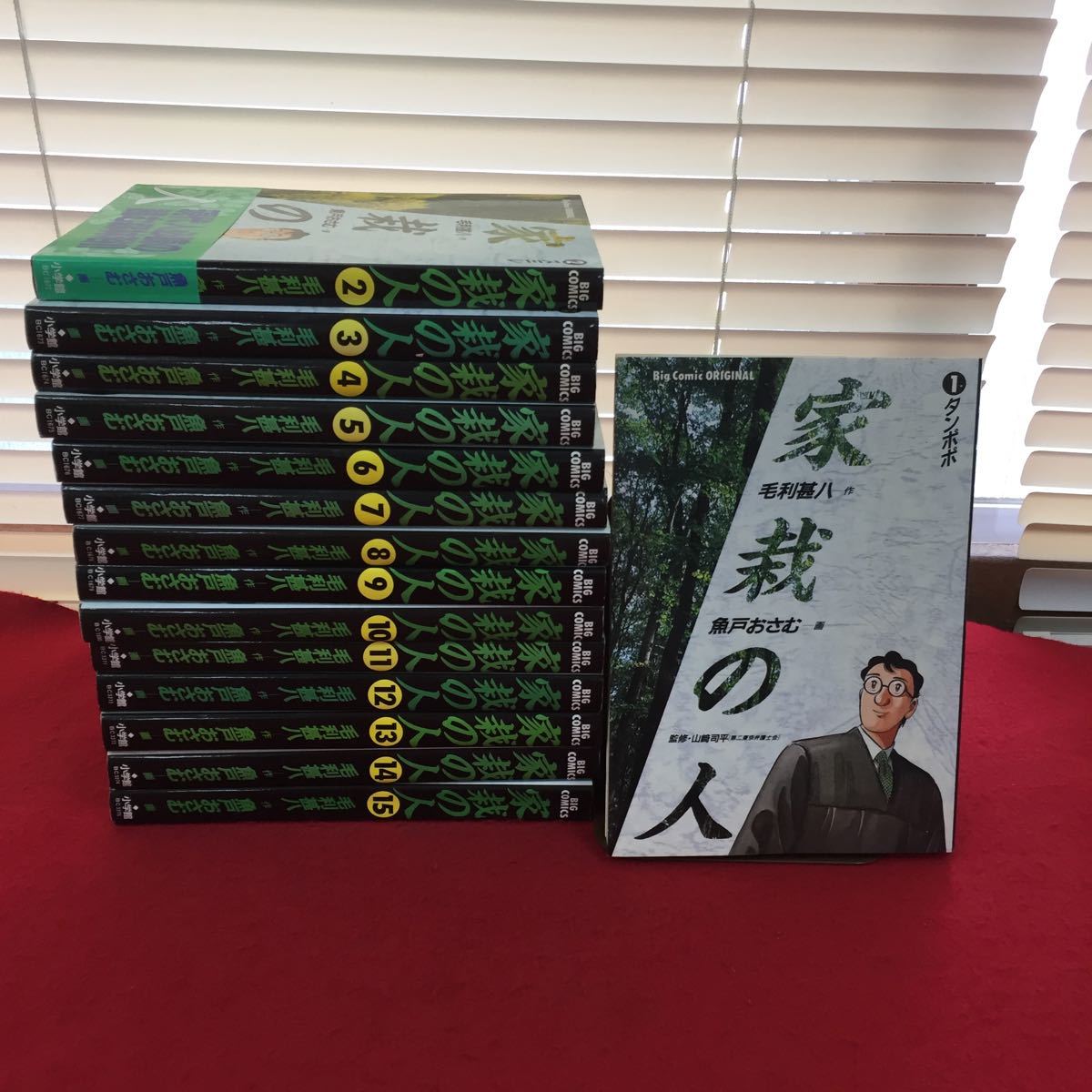 F025【コミック全巻セット】家裁の人 毛利甚八 魚戸おさむ 全15巻