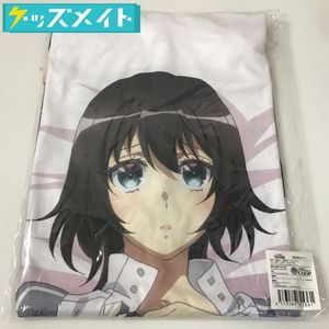 C92 抱き枕カバーのYahoo!オークション(旧ヤフオク!)の相場・価格を 
