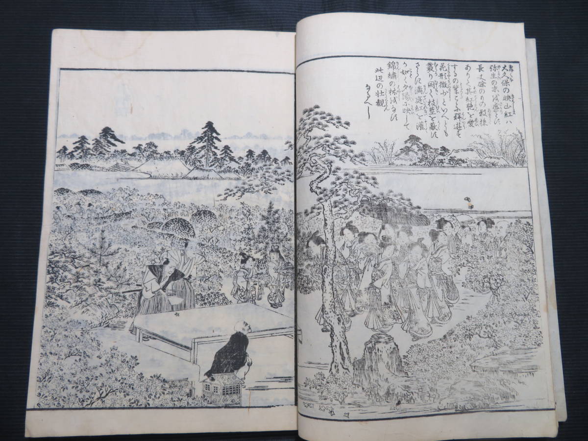 江戸期 絵入 和本 『江戸名所図会 十一』 長谷川雪旦 鳥観