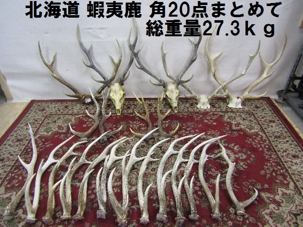 北海道 蝦夷鹿角まとめて 20点（1998） 総重量：27.3kg 根付け
