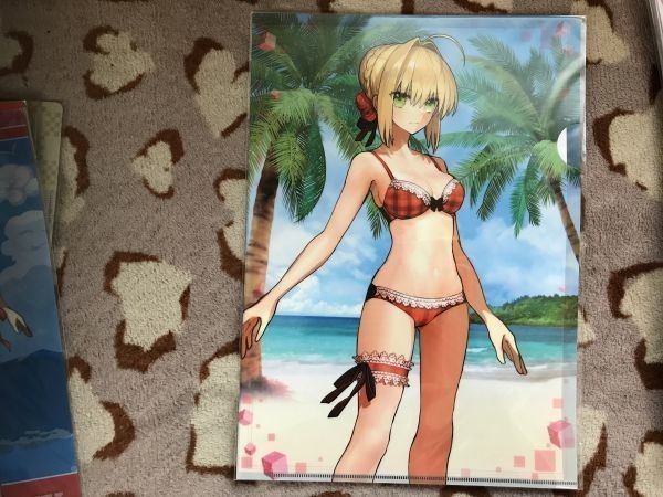 043クリアファイル FGO Fate Grand Order Fate/EXTELLA ワダアルコ
