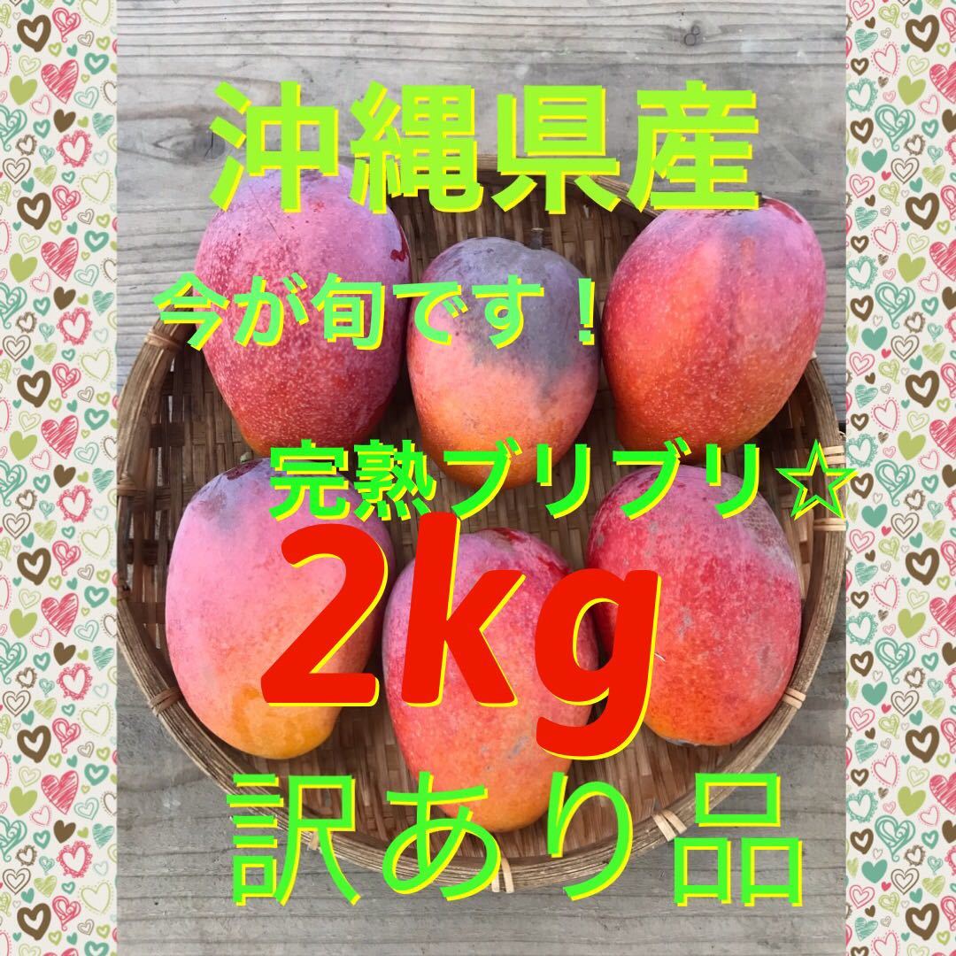 訳あり マンゴー : 沖縄県産 予約7月発送訳アリ品！！沖縄県産マンゴー