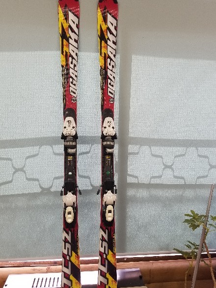 プライスダウン OGASAKAスキー TECHNICAL COMPETITION TC-SZ 160CM