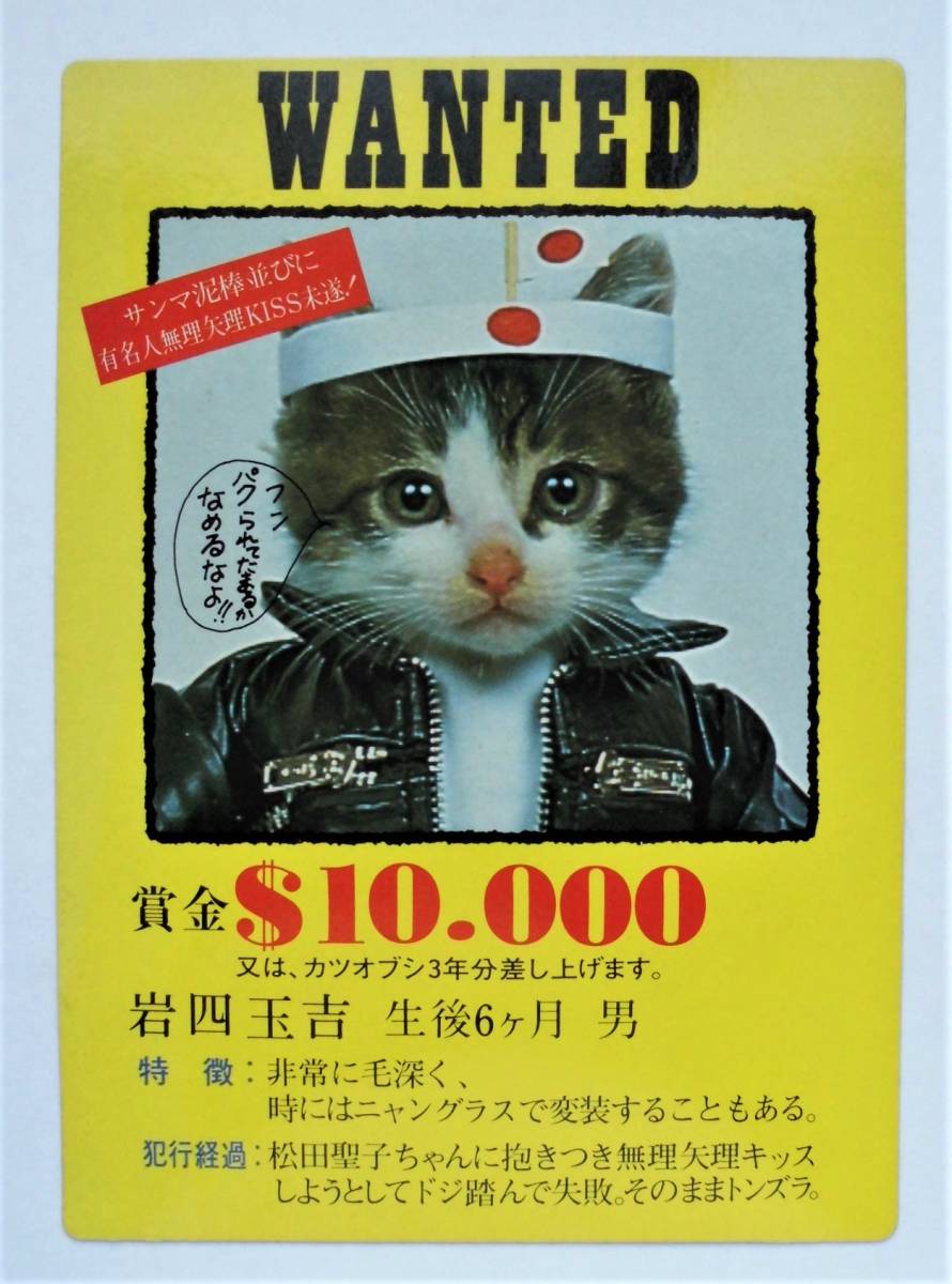 なめ猫 文房具 ファイル Www Aws Org Br