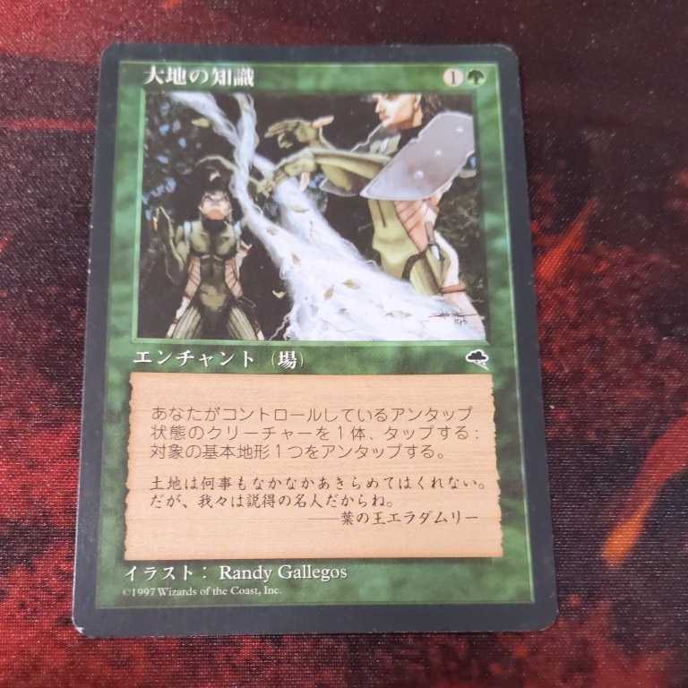 MTG 大地の知識 日本語 その3 MTG 大地の知識 TMP 大地の知識