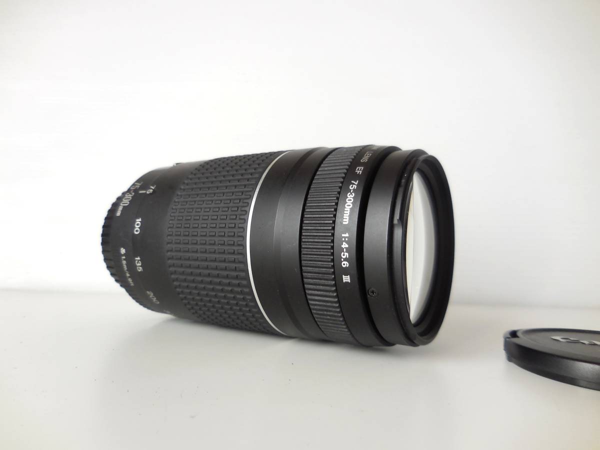 キャノン Canon EF75-300mm1:4-5.6Ⅲ 望遠レンズ