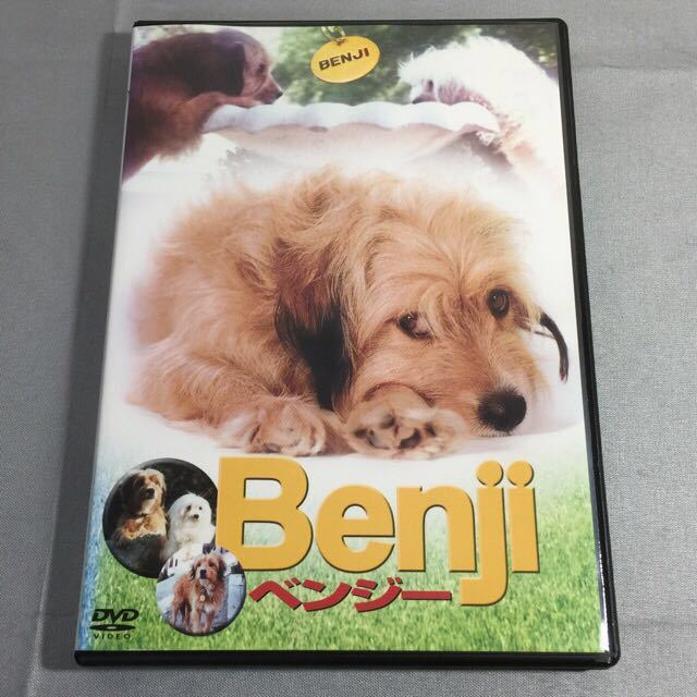 DVD ベンジー Benji （字幕） ジョー・キャンプ監督 第1作目 ☆取引