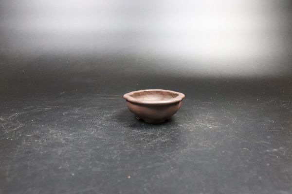 植木鉢 茂蔵宜興窯 一九六四年 在銘 紫砂朱泥 花鳥図 蘭 古盆器 盆栽