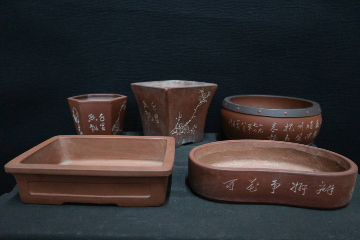 中国宜興】 釘彫鉢5枚セット 工藝大師 小品盆栽 植木鉢 紫砂