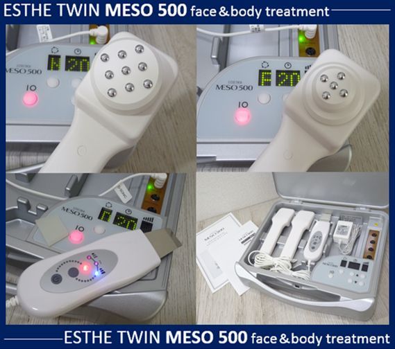 エレクトロポレーション | スクライバー 500① MESO エレクトロポ