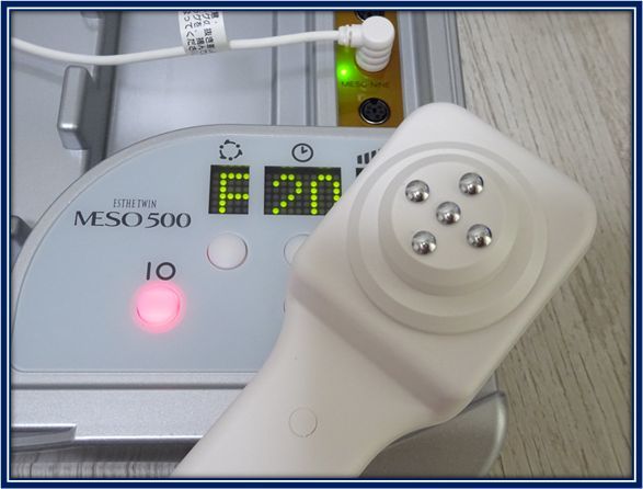 エレクトロポレーション | スクライバー 500① MESO エレクトロポ