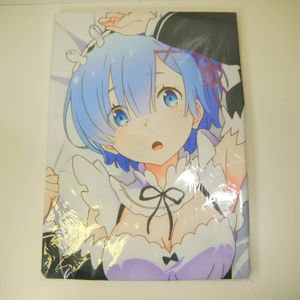 正規品 未開封 薄暗い 【Re：ゼロから始める異世界生活】 抱き枕カバー  