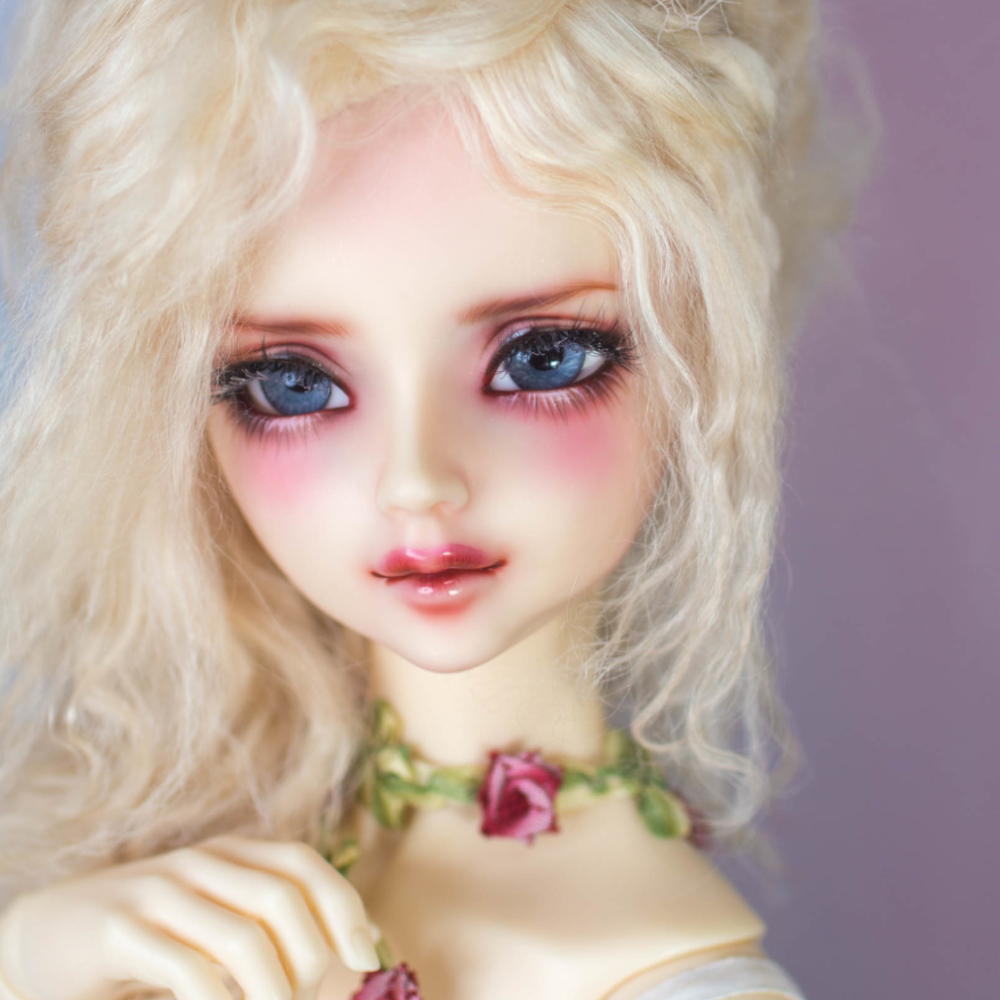 得価，限定セール SDフルチョイス F-72 ヘッドカスタム(本体)｜売買されたオークション情報、yahooの商品情報をアーカイブ公開 - オークファン 本体