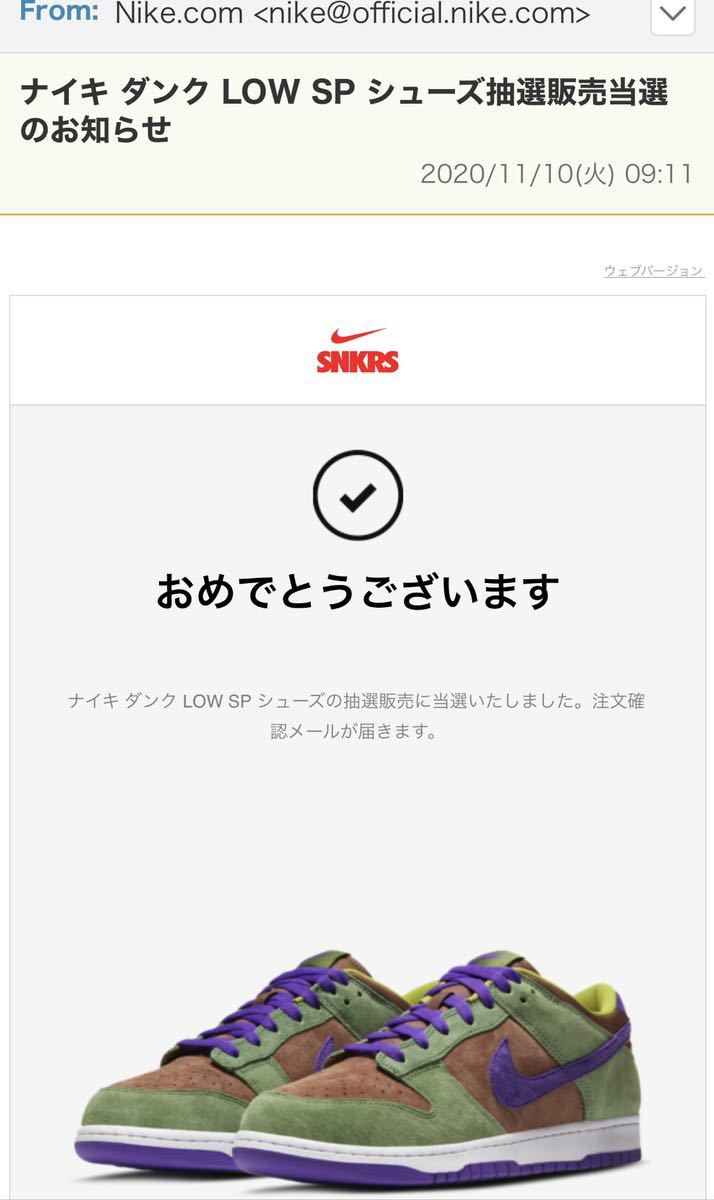 Nike ナイキ☆ダンク ロー SP DUNK LOW SP veneer US12 30cm 