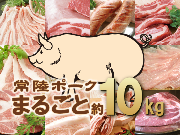 三重県産 生産農家直売 ロースブロック 4.2kg以上 送料無料 豚肉