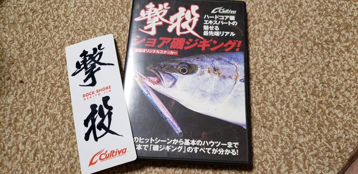 撃投 - DVD ショア磯ジギング! 釣り メルカリ 撃投ジグの通販 カルティバ オーナー MOVIE | 青物 etc Site GEKITO 株式会社オーナーばり