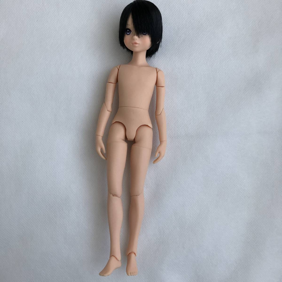 PetWORKs Bird Cage ruruko boy 【新品未使用品】 | ヤマダウェブコム