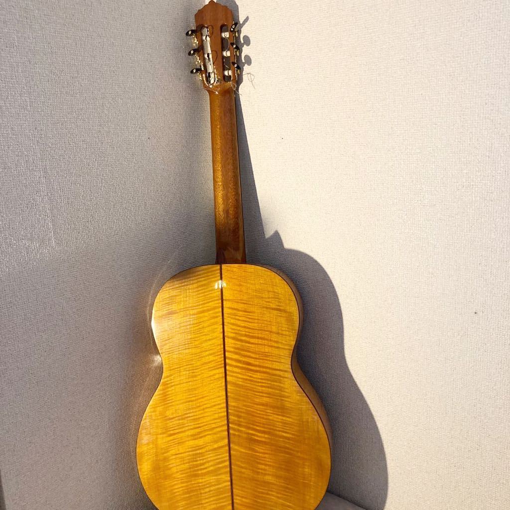 g408810982.1