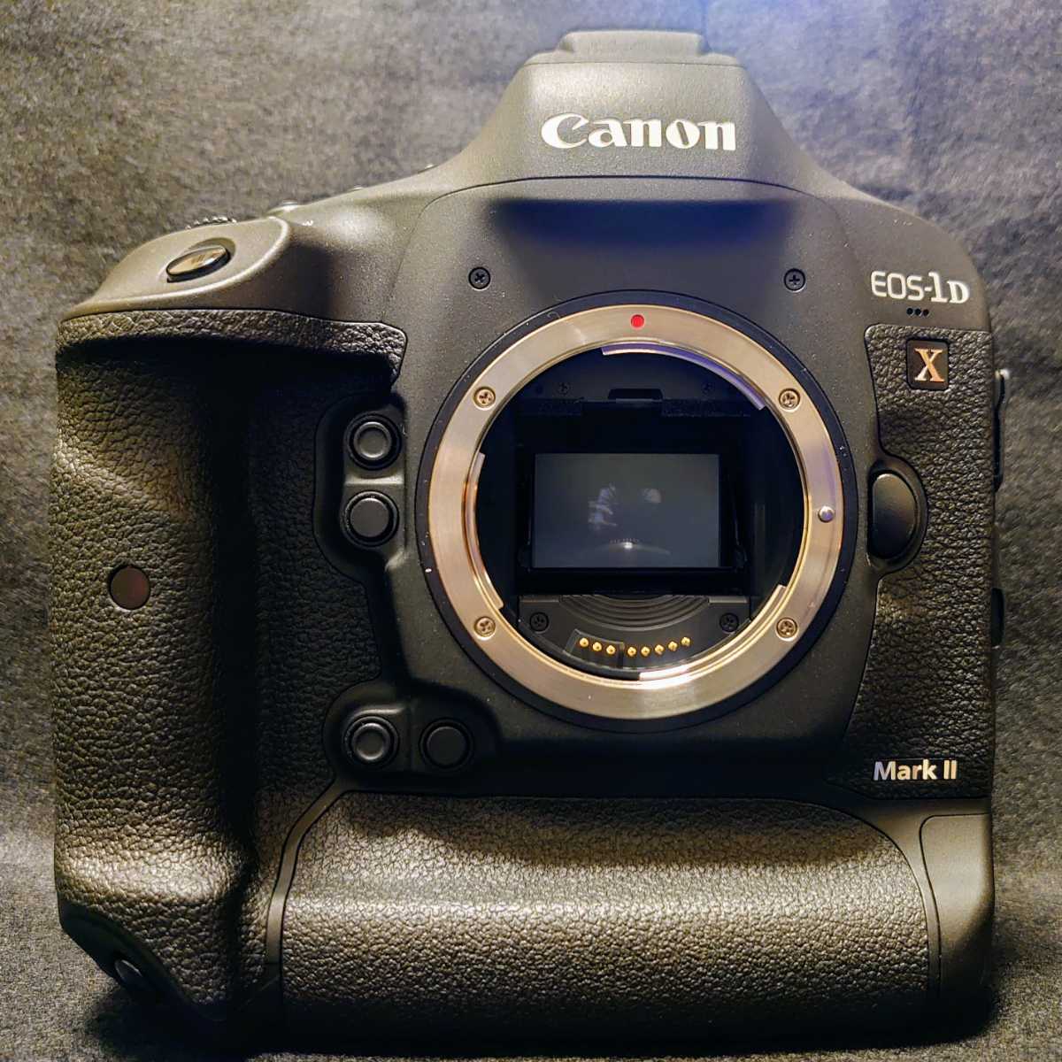 EOS-1D X ボディ Mark II CANON M085-2E1 シャッター回数34000回以下 