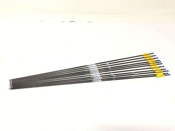 激安大特価，最新作 EASTON イーストン X10 906 A/C/X10 550 シリーズA 11本 矢 アロー アーチェリー用品 ジャンク F5266046(アーチェリー)｜売買されたオークション情報、yahooの商品情報をアーカイブ公開 - オークファン アーチェリー