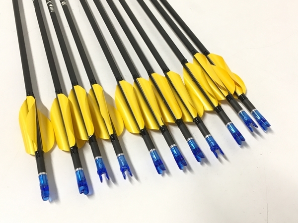 Easton X10 - Arrow Shafts Archery EASTON Pro | 0 eBay – X10™ A&frasl;C&frasl;X10 SHAFTS Supply