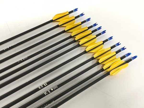 Easton X10 - Arrow Shafts Archery EASTON Pro | 0 eBay – X10™ A&frasl;C&frasl;X10 SHAFTS Supply