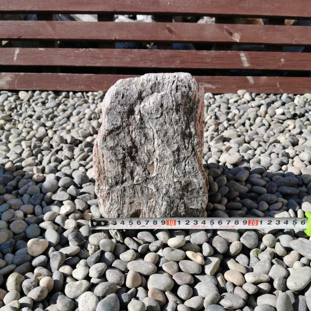 北海道産桜石5.4キロ 庭石鑑賞石盆石水石灯籠庭坪庭盆栽ガーデニング
