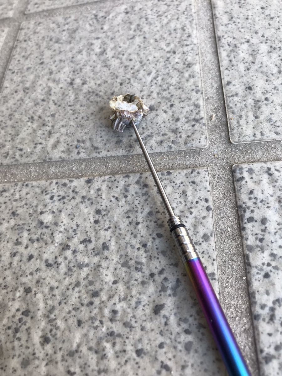 1円 Tc4チタン合金製フジツボニードル パイプ虫 タンク蟹の穴あけに 黒鯛 チヌ 石鯛 ヘチ 落し込み おまつりほどき フィッシング 売買されたオークション情報 Yahooの商品情報をアーカイブ公開 オークファン Aucfan Com