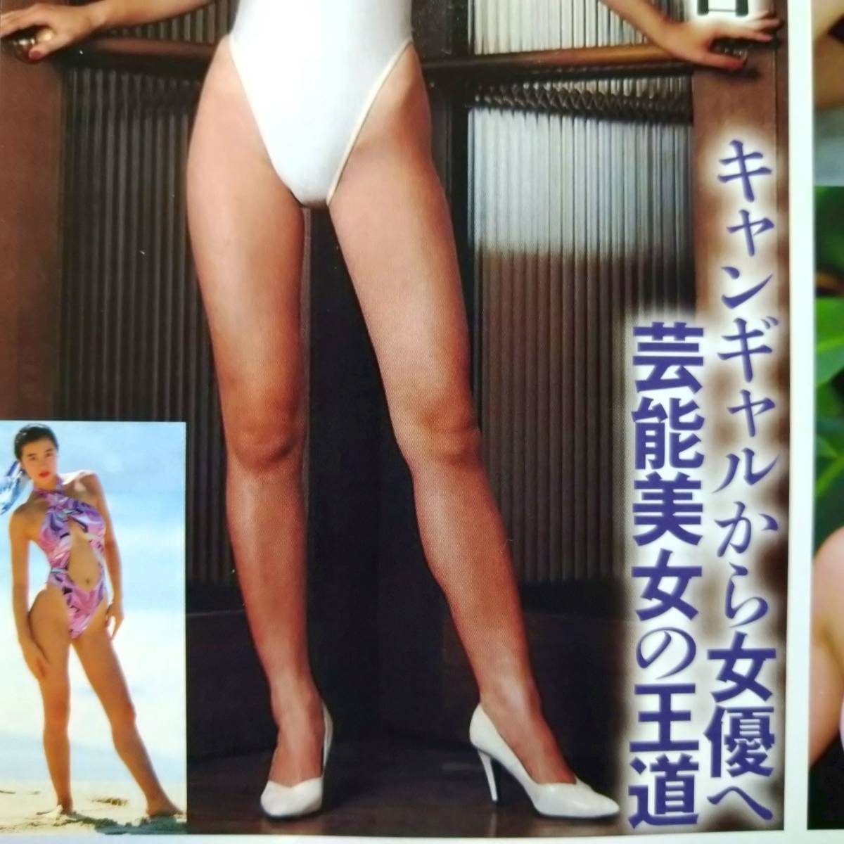 女優水着 鈴木京香 鈴木保奈美 満島ひかり 有村架純 奥菜恵 井川遥 本仮屋ユイカ ハイレグ ビキニ プリケツ 美脚 切抜2p タレント 売買されたオークション情報 Yahooの商品情報をアーカイブ公開 オークファン Aucfan Com