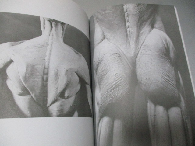美術解剖図 写真集 洋書 美術解剖学 人体解剖 アート デザイン デッサン モデル 技法書 売買されたオークション情報 Yahooの商品情報をアーカイブ公開 オークファン Aucfan Com