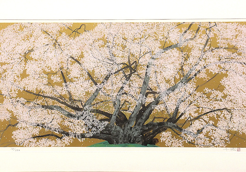 □中島千波 【素桜神社の神代櫻】 岩絵具方式複製画 エディション有り
