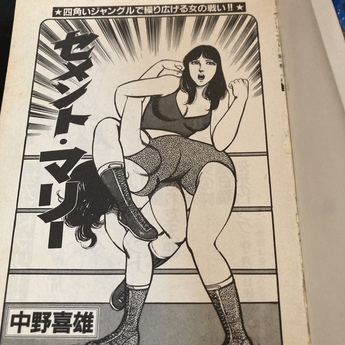 女子プロレス秘話 セメント マリー 中野喜雄 真樹日佐夫 キャット