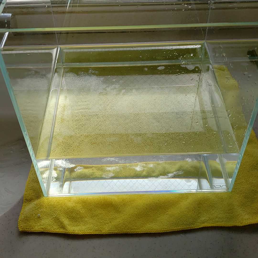 Ada 30cmキューブ ガラス水槽 30cm 売買されたオークション情報 Yahooの商品情報をアーカイブ公開 オークファン Aucfan Com