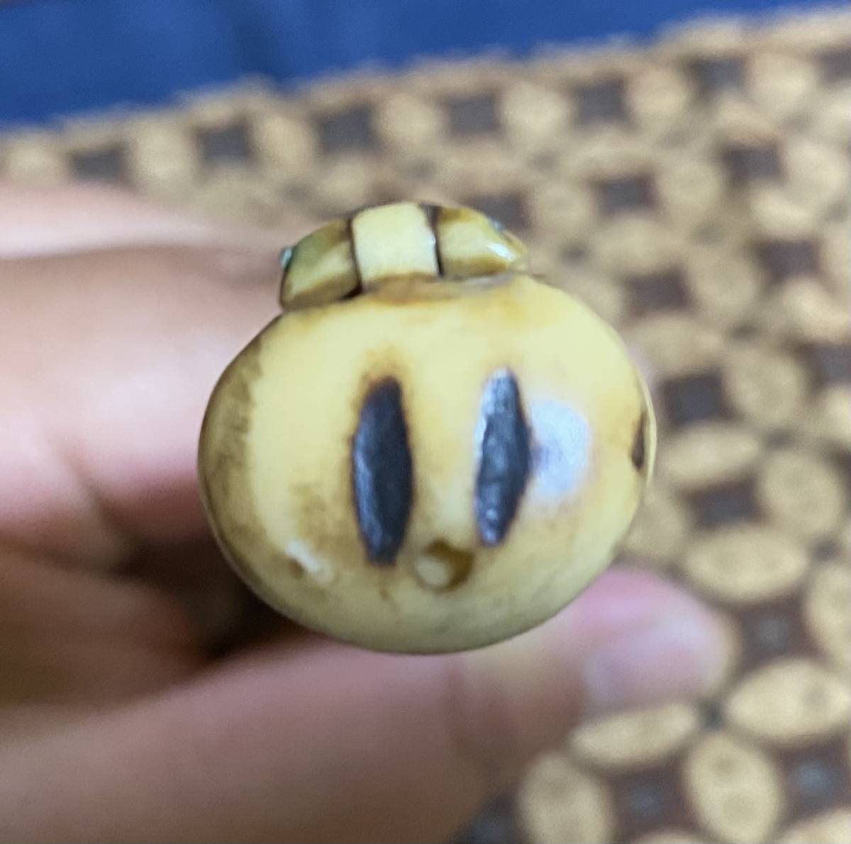 antique ・煎茶道具・香道具 ◇茶道具 3hige store 京都・古 煎茶道具