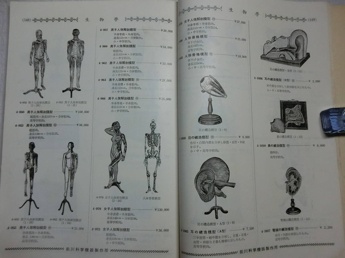【理科学機器 総合カタログ 昭和33年 前川科学機器製作所 順天堂】/検索)人体模型 標本 解剖 マリス ガラス器具 計量器 天体 _8