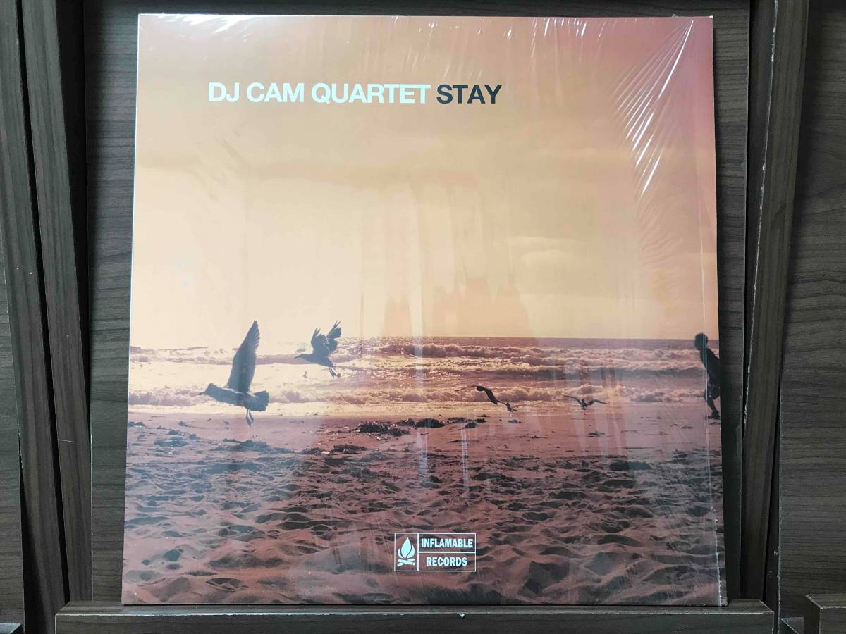 DJ Cam Quartet LP 2枚セット