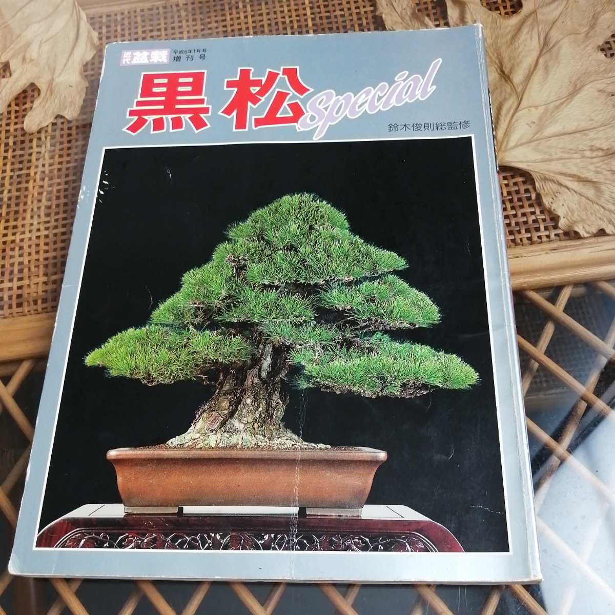 雑誌 近代盆栽 増刊号 黒松のすべて 五葉松のすべて 小品盆栽 4冊セット
