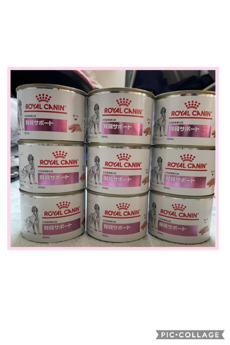 ロイヤルカナン 犬用 療法食 腎臓サポート 0g 9缶 ドッグフード 売買されたオークション情報 Yahooの商品情報をアーカイブ公開 オークファン Aucfan Com