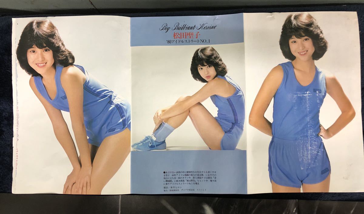 松田聖子 水着 ピンナップ ポスター 2枚セット レア 昭和アイドル s60