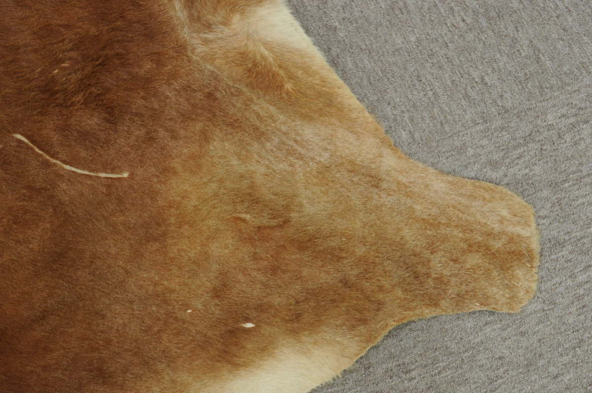 230x200cm カウ ラグ 牛革 本革 毛皮 カウハイド 天然素材 マット